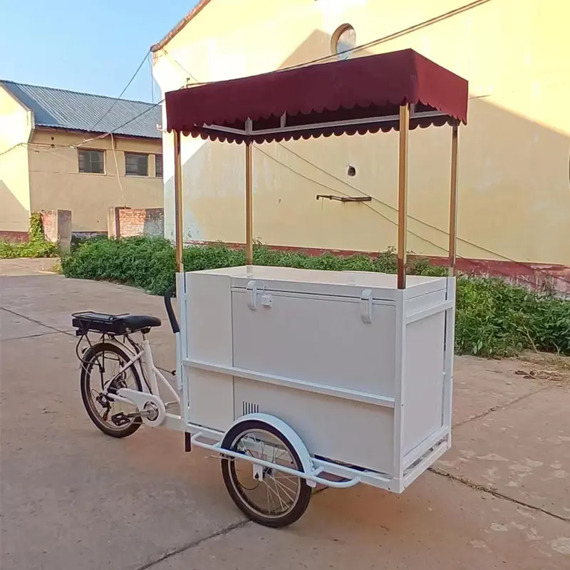 ຄລາສິກ Pedal Ice Cream Bike Cart Bike